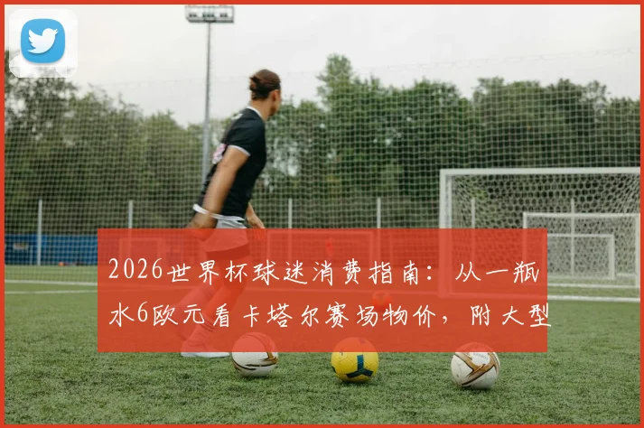 2026世界杯球迷消费指南:从一瓶水6欧元看卡塔尔赛场物价,附大型赛事省钱实用攻略