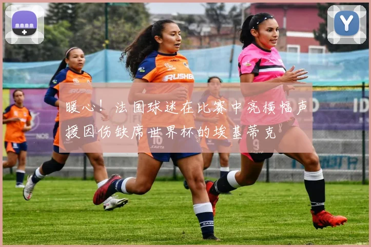 暖心！法国球迷在比赛中亮横幅声援因伤缺席世界杯的埃基蒂克